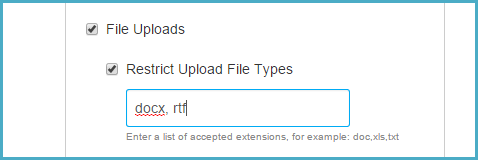 Restricting File Types requires Perfect Typing